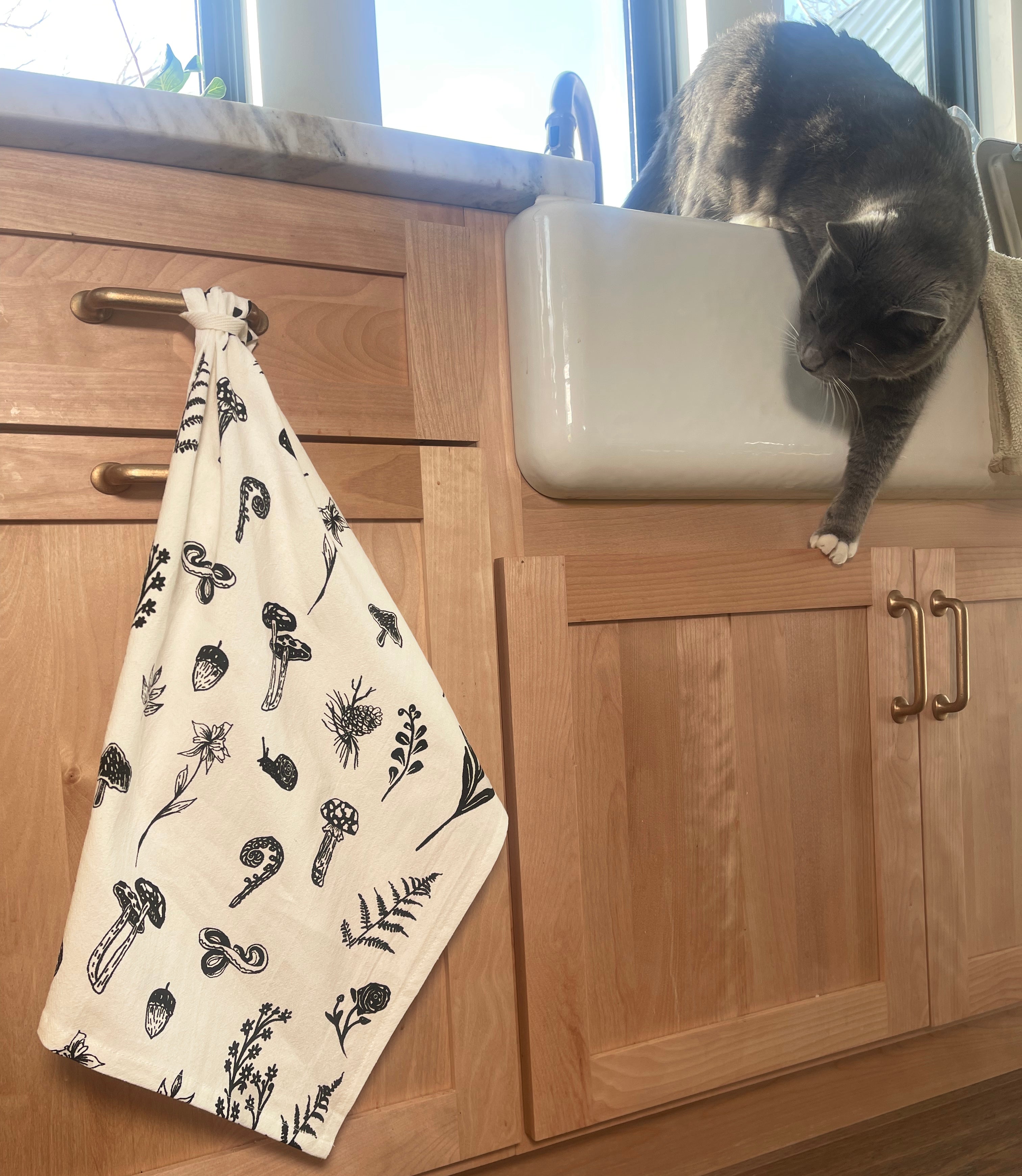 Cat tea towel discount holder